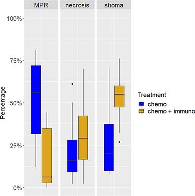 Different pathological response and histological features following neoadjuvant chemotherapy or chemo-immunotherapy in resected non-small cell lung cancer